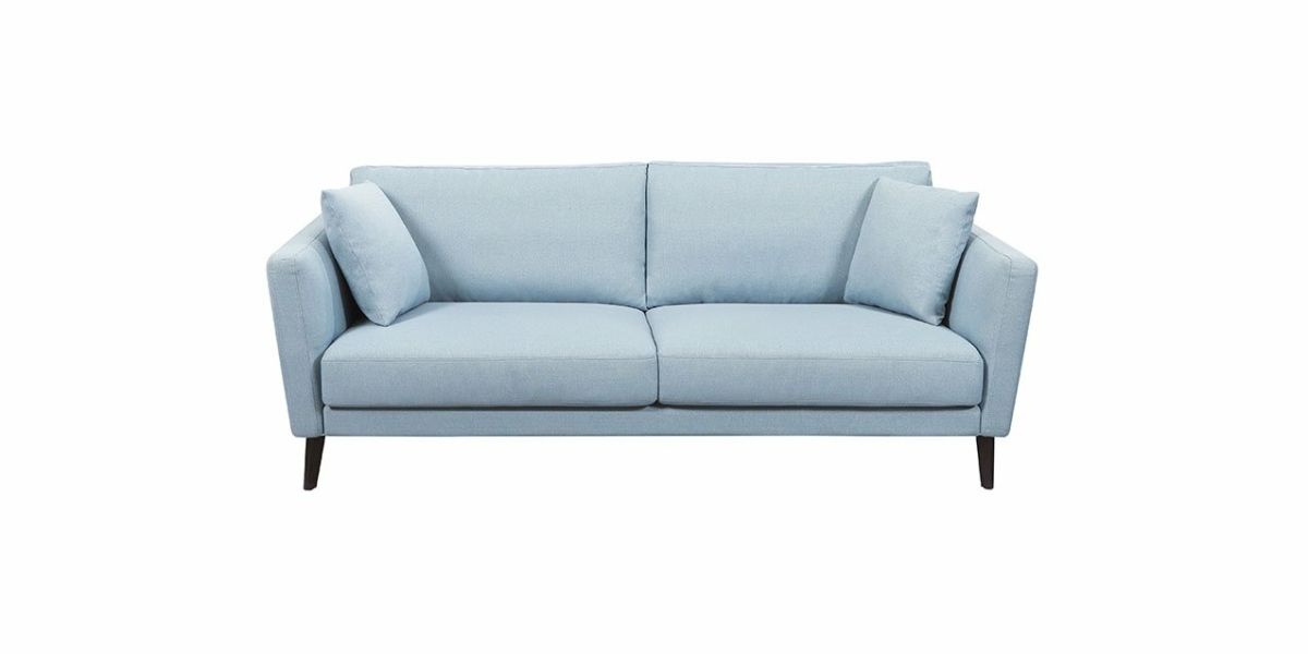 Un canapé bleu clair moderne avec deux coussins, au style parisien chic et aux pieds noirs, vu de face sur fond blanc. Découvrez une qualité inégalée à un prix attractif. Canape Paris by Atelier Bis