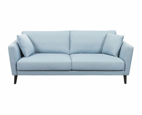 Un canapé bleu clair moderne avec deux coussins, au style parisien chic et aux pieds noirs, vu de face sur fond blanc. Découvrez une qualité inégalée à un prix attractif. Canape Paris by Atelier Bis