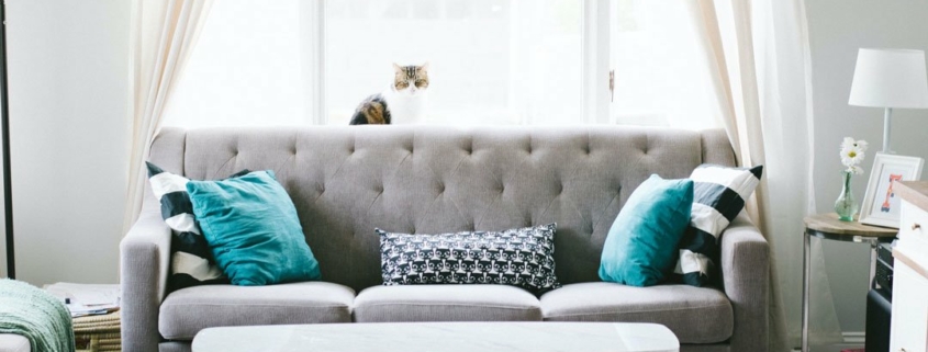 Choisir canapé espace intérieur